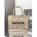 BOLSA DIOR TOTE BOOK MEDIA